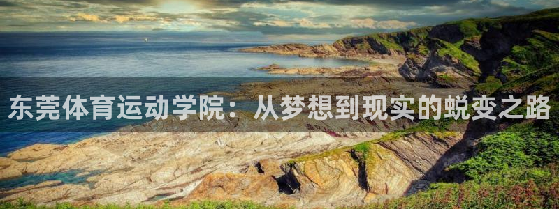 德国米兰体育官方正版app集团:东莞体育运动学院:从梦想到现