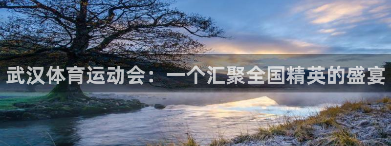 米兰体育官方集团官网:武汉体育运动会:一个汇聚全国精英的盛宴